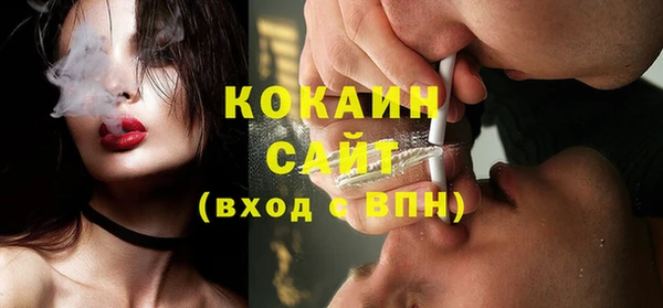 сатива Михайловка