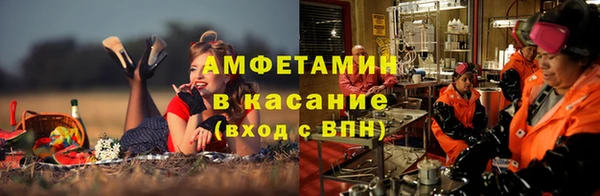 сатива Михайловка