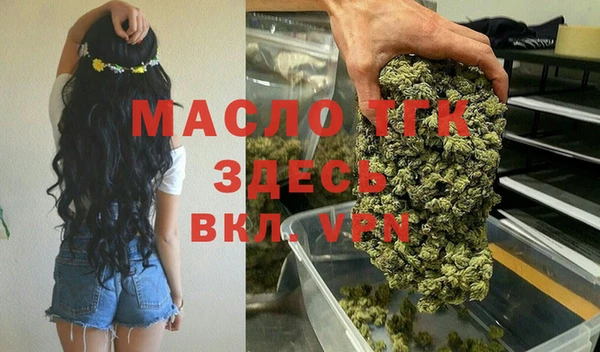 сатива Михайловка